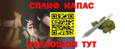 прущие грибы Обь