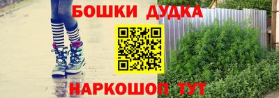 прущие грибы Обь