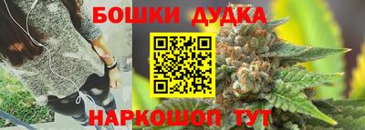 прущие грибы Обь