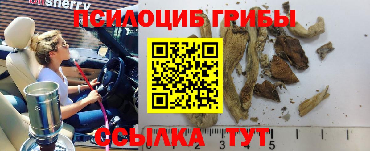 Псилоцибиновые грибы Psilocybine cubensis  Вход с VPN  Севастополь 