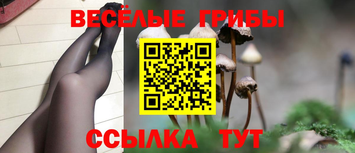 Псилоцибиновые грибы Cubensis Севастополь